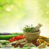 Why More People Are Choosing Ayurveda in Modern Life