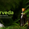 The Power of Ayurveda: A Natural Path to Better Health with Amarvira