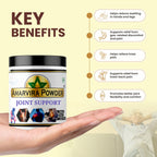 Amarvira Joint Support Powder | Ayurvedic Herbal Powder for Joint Care, Mobility & Daily Wellness | 120g