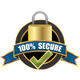 100% Secure Payments