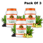 Amarvira Ayurvedic Diabetes Powder for Blood Sugar Support